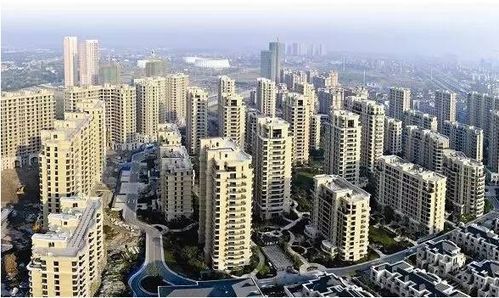 國慶光看不買 網(wǎng)紅盤入市 改善戶型歇菜